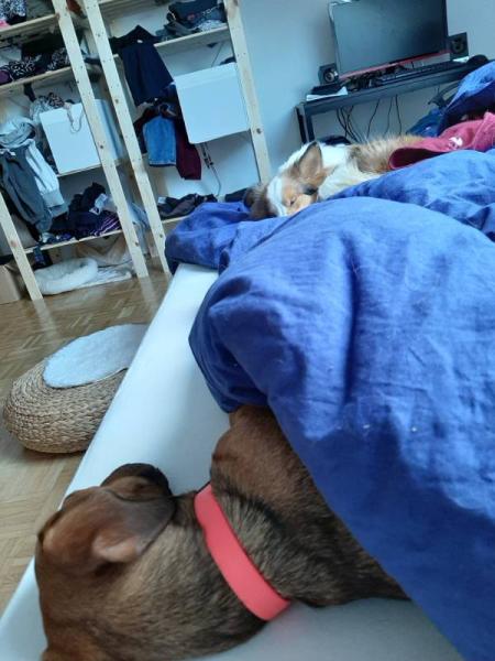 Bild zu