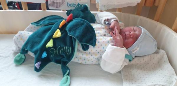 Bild zu Ich bin Nummer 4 - Forum für Mai - Mamis