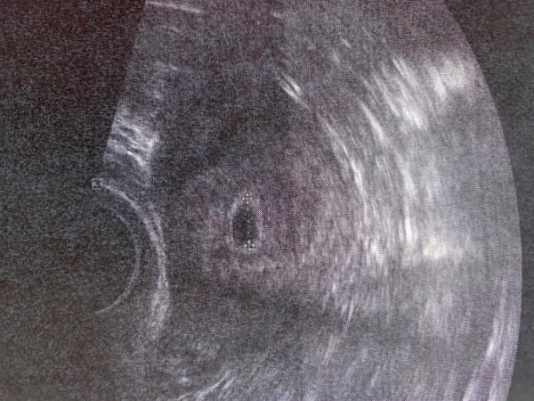 Bild zu Ich bin mit dabei! 🥰 - Forum für Mai - Mamis