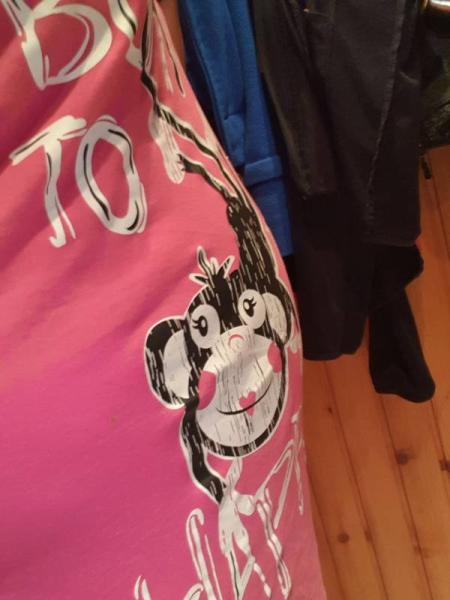 Bild zu 