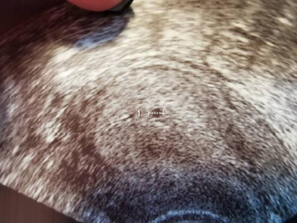 Bild zu Besuch beim FA - Forum für Mai - Mamis