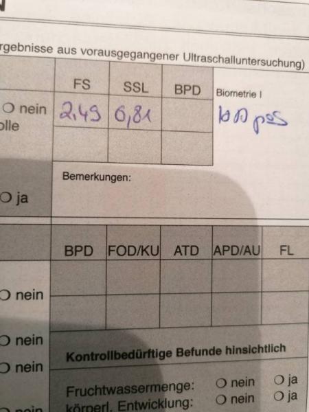 Bild zu 