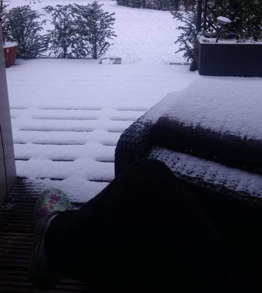 Bild zu 