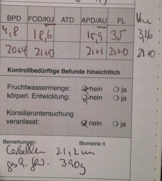 Bild zu 