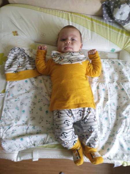 Bild zu