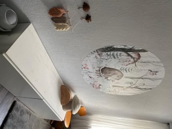 Bild zu