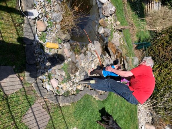 Bild zu 