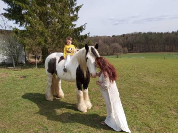 Bild zu 