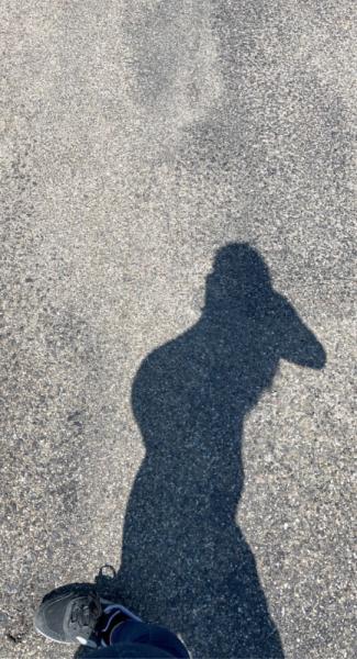 Bild zu Dickbauchdienstag - Forum für Mai - Mamis