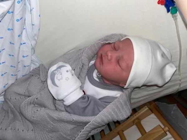 Bild zu