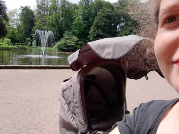 Bild zu