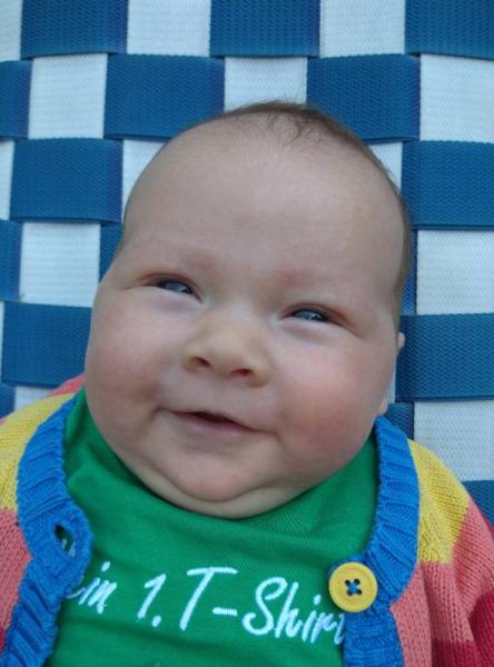 Bild zu 