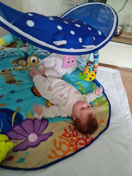 Bild zu 