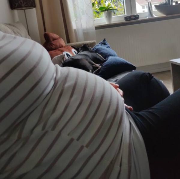 Bild zu 