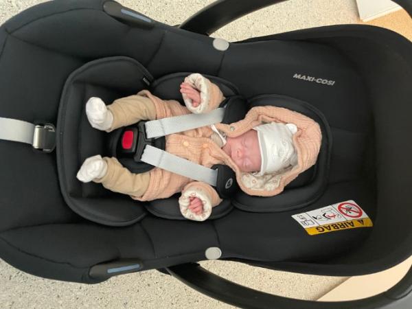 Bild zu Hailey ist nun auch endlich zuhause 😍 - Forum für Mai - Mamis