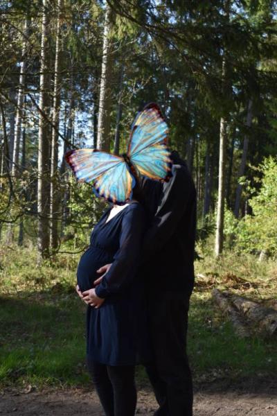 Bild zu