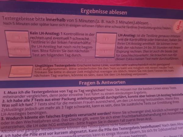 Bild zu 
