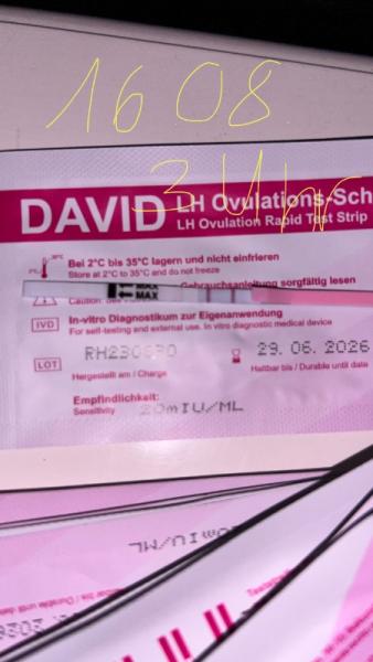 Bild zu Ovulationstest - Forum für Mai - Mamis