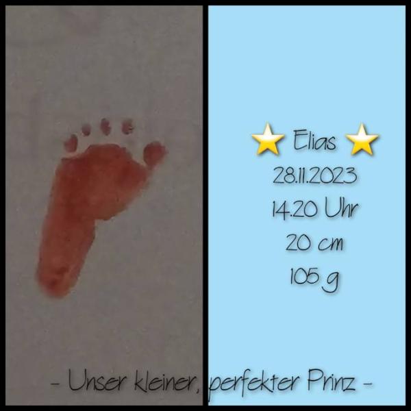 Bild zu Ich sage leise Tschüss - Forum für Mai - Mamis