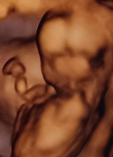 Bild zu Dickbauchdienstag 🤰🏼 - Forum für Mai - Mamis