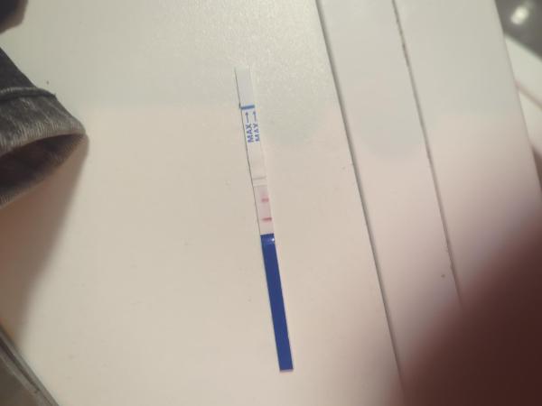 Bild zu Nasse Testzone - falsch positiv? - Forum für Mai - Mamis