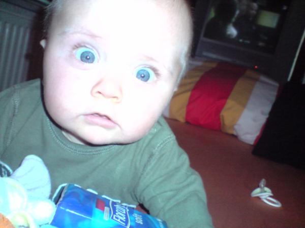 Bild zu