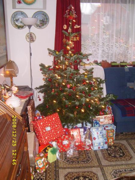 Bild zu unser Tannenbaum und meine Maus - Forum für Juni - Mamis