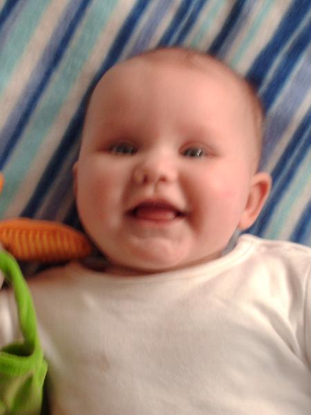 Bild zu 
