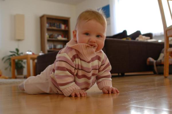 Bild zu 