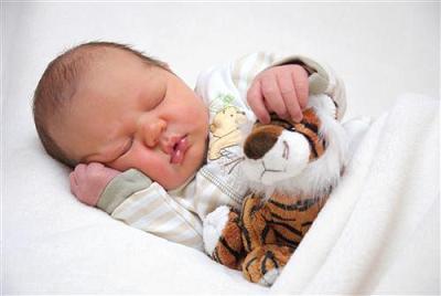 Bild zu ich wollte euch auch mal unseren kleinen Lion vorstellen :-) - Forum für Juni - Mamis