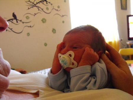 Bild zu