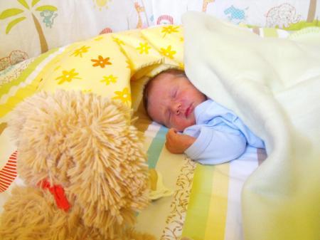 Bild zu