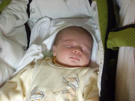 Bild zu 