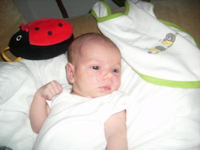 Bild zu U3 - Forum für Juni - Mamis