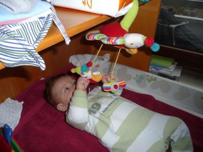 Bild zu Ich läute die U5-Runde ein - Forum für Juni - Mamis