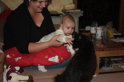 Bild zu Oh je! Armer Kater... - Forum für Juni - Mamis