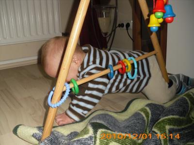 Bild zu Krabbeln - Forum für Juni - Mamis