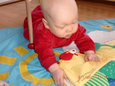 Bild zu Lotta liest ihr neues Buch... - Forum für Juni - Mamis