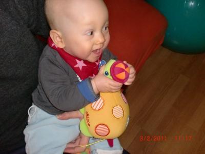 Bild zu Schildkröte - Forum für Juni - Mamis