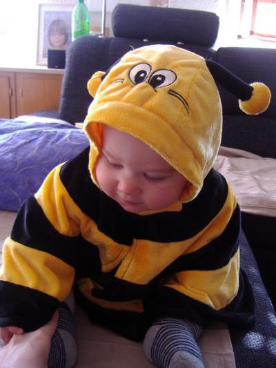 Bild zu Fasching - Forum für Juni - Mamis