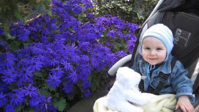 Bild zu waren in der Wilhelma (Zoo) - Forum für Juni - Mamis