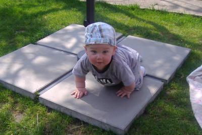 Bild zu Heute im Garten - Forum für Juni - Mamis