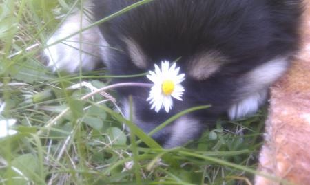 Bild zu 