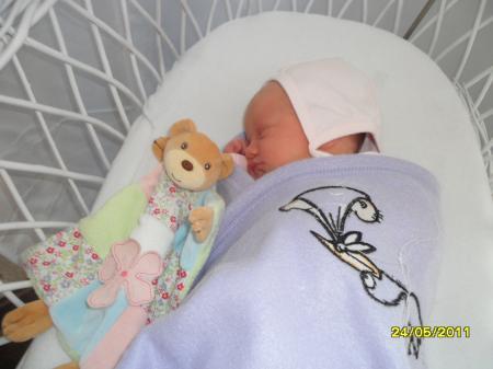 Bild zu 