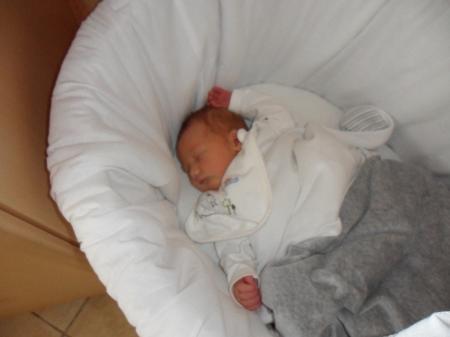 Bild zu 