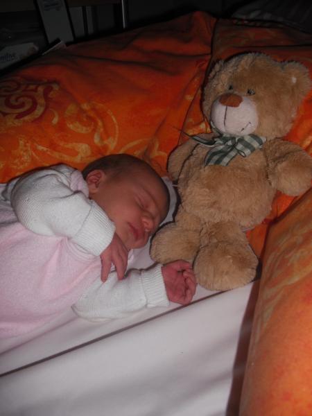 Bild zu 