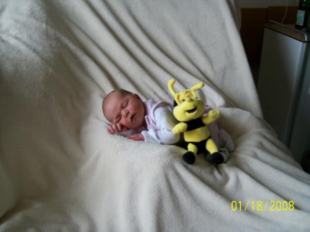 Bild zu