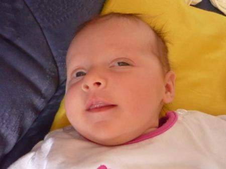 Bild zu 