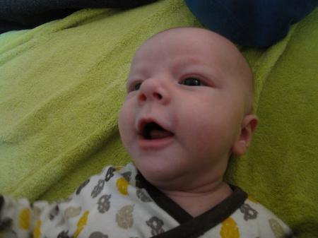 Bild zu