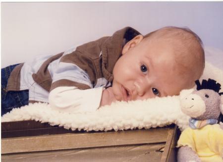Bild zu